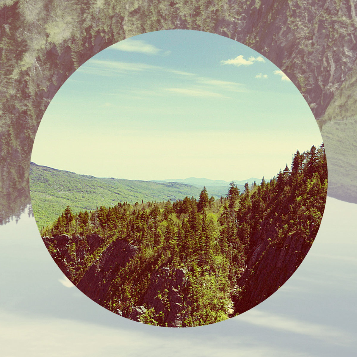 Things in the Forest cover artwork
